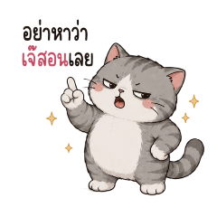 Sassy Chubby Meow