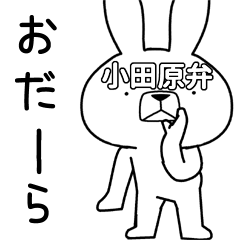 Dialect rabbit [odawara]