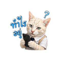 Cat Dog_20260715123151