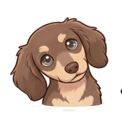 Cute Dachshund Expressions