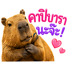 คาปิบาร่าน่ารัก ใช้ได้ทุกวัน