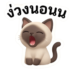 น้อนแมววว จ๋า