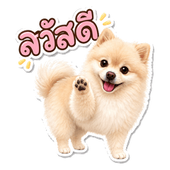 น้องปอมครีมจอมสดใส