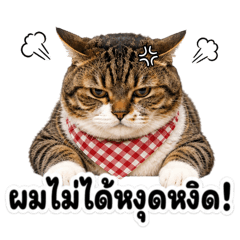 กอมมี่ ไม่ได้หงุดหงิด!!