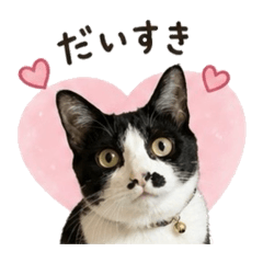 YUKA_20260721084814