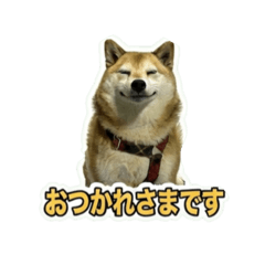 hana_20260721022546