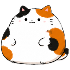 chokipome_20260721143119