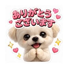 mayu_20260721145144