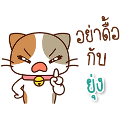 แมว ชื่อ ยุ่ง