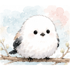 Chihalu_20260721150012