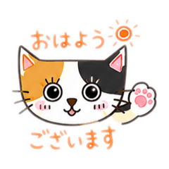 Yuimomo_20260721151802