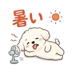 teppooo_20260721154446