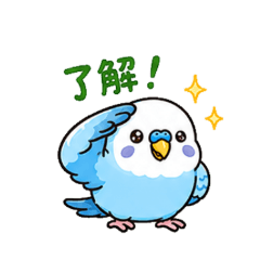 Little Budgie's Daily Life
