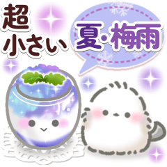 Tiny Summer & Rainy Shimaenaga