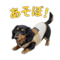 AMpapa_20260721173930