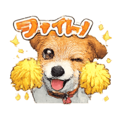 Jack Russell Terrier "Chao"2