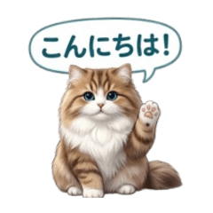 Toto the Easygoing Cat: Plump & Peaceful