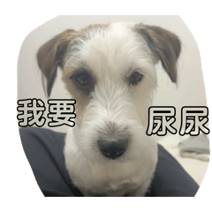 funny emoji_20260721230714