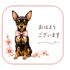 aikamm_20260721222827