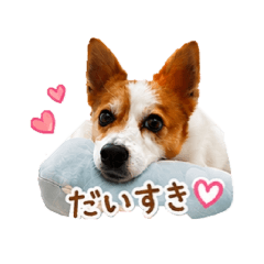 Hana_20260722085123
