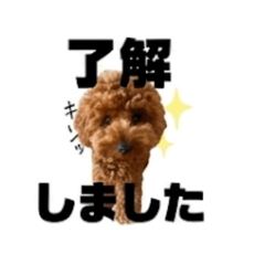 momo_20260721195528