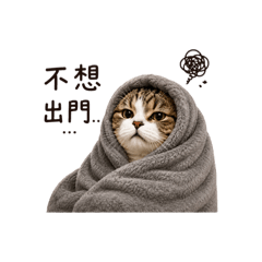 Little Cui Studio_20260616215234