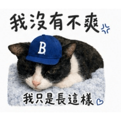 BuBu_20260616221740