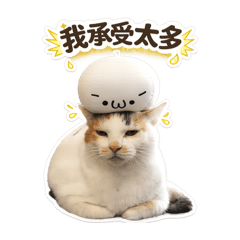 MewMew_20260618185324