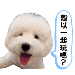 Connie_20260711012628