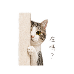 Guan_20260711074717