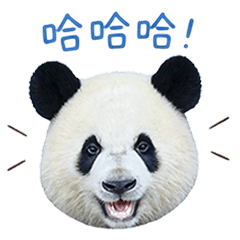SUMMER PANDA LIFE