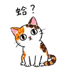 HuaHua Crayon Burnout Chat