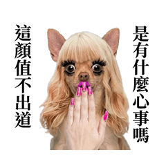《吉娃娃》日系美甲辣妹3 - 嘲諷誇誇