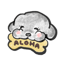 Everyday dog - Fluffy poodle