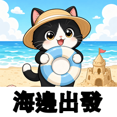 黑白貓海灘遊