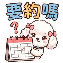 Cute White Poodle Stickers
