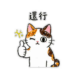 Huahua: Replied, But Not Really