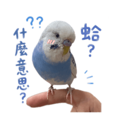 嘎嘎の貼圖2