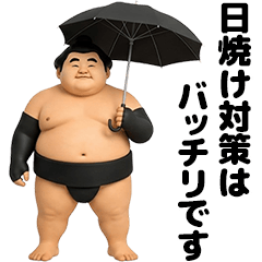 大相撲の関取～夏場所～