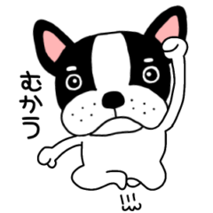 Bulldog52