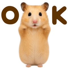 Dance Cute hamster