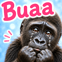 Heart-fluttering Gorilla(Spanish)