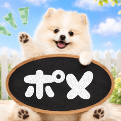 元気に飛び出す☆癒しポメラニアン