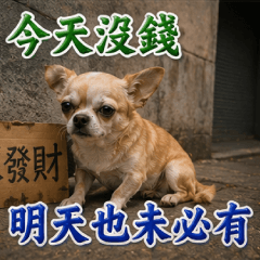 吉娃娃長輩圖的心靈毒雞湯