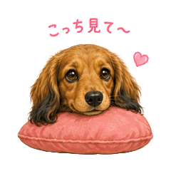 Greetings from a Cuddly Dachshund
