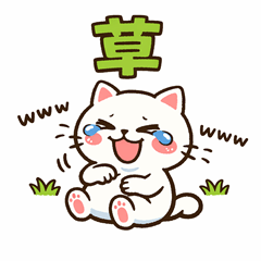 The Easygoing Type O Cat