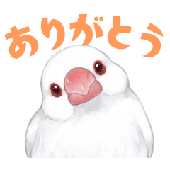 Java Sparrow [White] Stickers