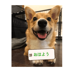 Kumamehachi199_20260720170010