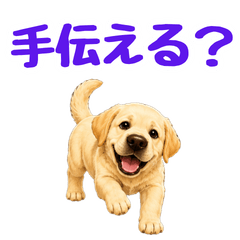 Sweet Puppy Daily Messages
