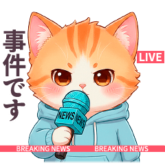 毎日使える リポーター パーカーねこ